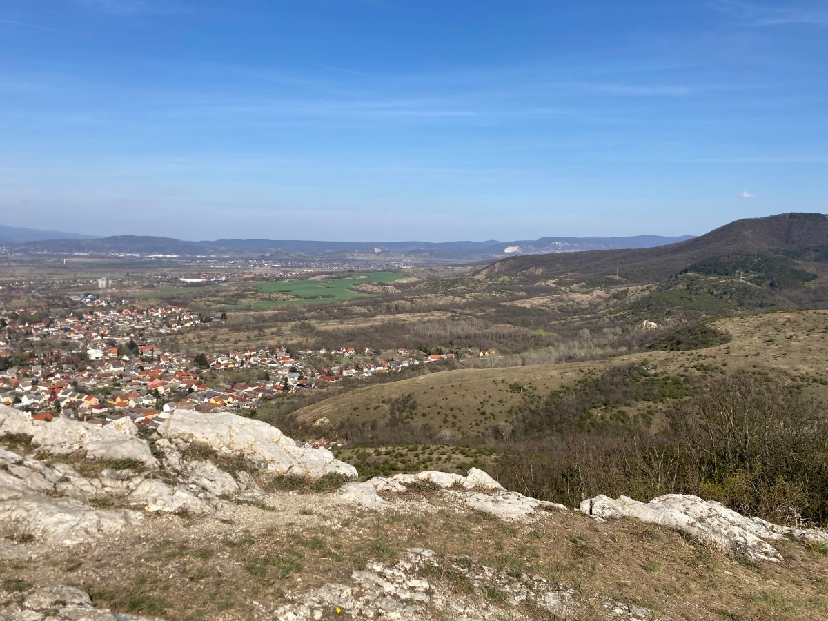 Kék: Dorog –&nbsp;Mogyorósbánya